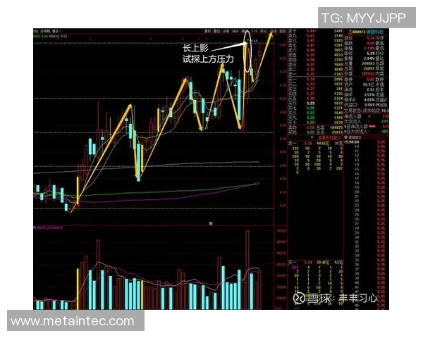深圳排球队与杭州排球队赛后复盘分析比赛节奏与战术对决 深圳排球队与杭州排球队赛后复盘分析比赛节奏与战术对决