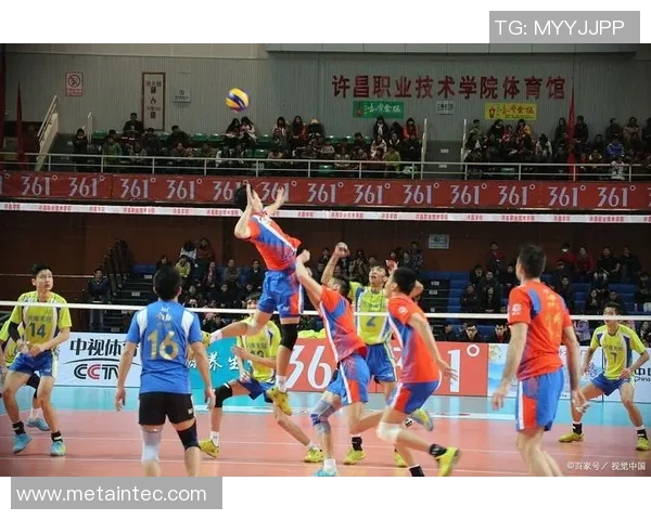 南京排球队的团队协作揭秘:排球巨献背后的默契与拼搏精神 南京排球队的团队协作揭秘:排球巨献背后的默契与拼搏精神