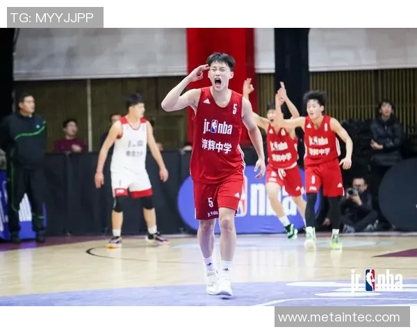 南京篮球队在全国锦标赛中的团队协作表现分析与点评