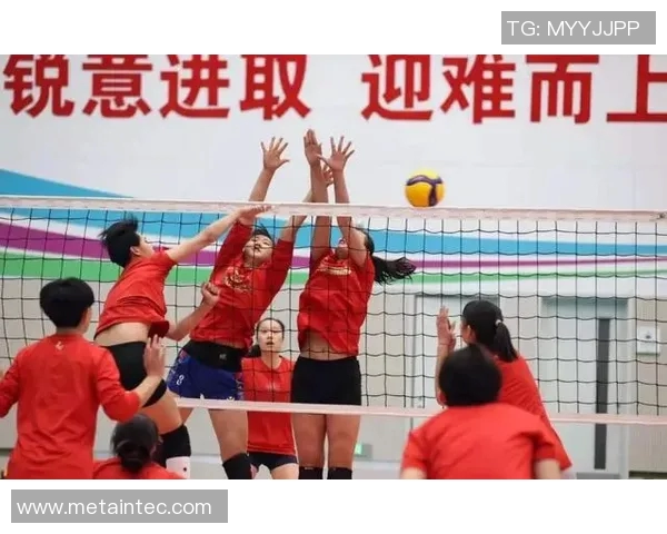 杭州排球队实力对比深度解析各队优势与挑战全面剖析 杭州排球队实力对比深度解析各队优势与挑战全面剖析
