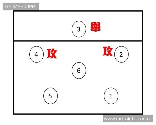 西安排球队在奥运会中的节奏掌控与战术执行深度分析
