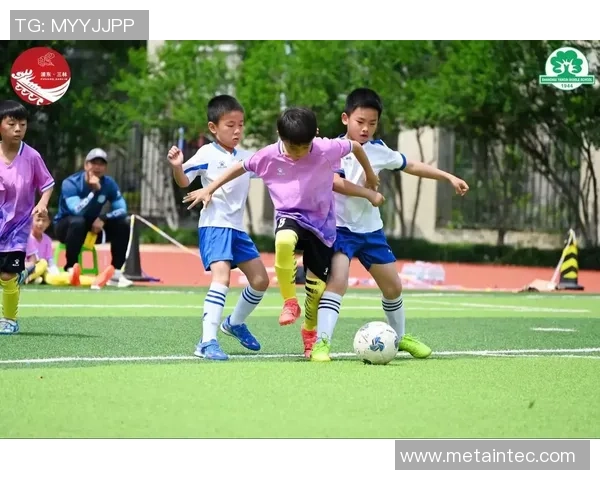 新萌足球：探索青少年足球发展的新机遇与挑战