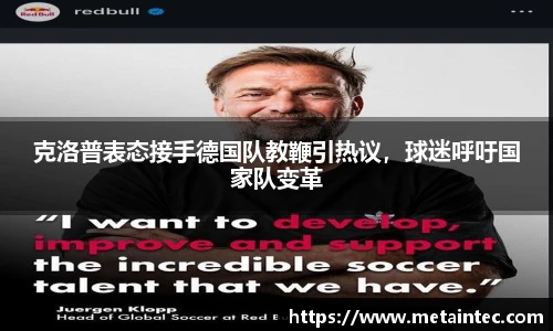 熊猫体育