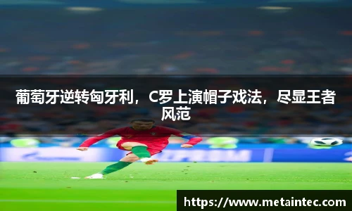熊猫体育app