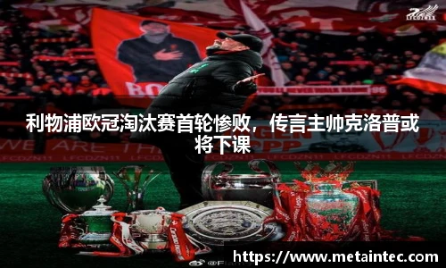 熊猫体育官网