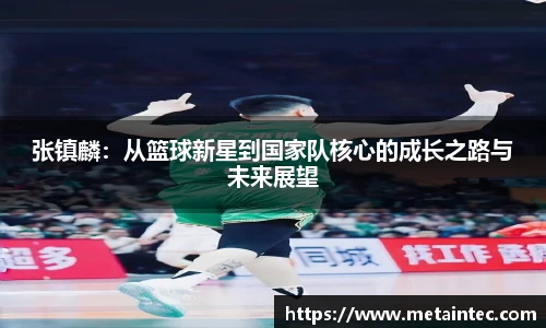 熊猫体育直播