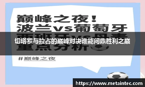 熊猫体育