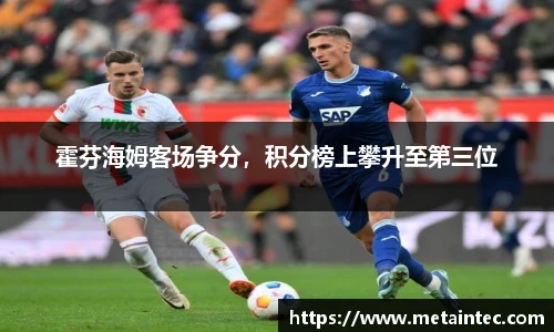 霍芬海姆客场争分，积分榜上攀升至第三位