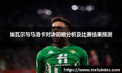 熊猫体育官网